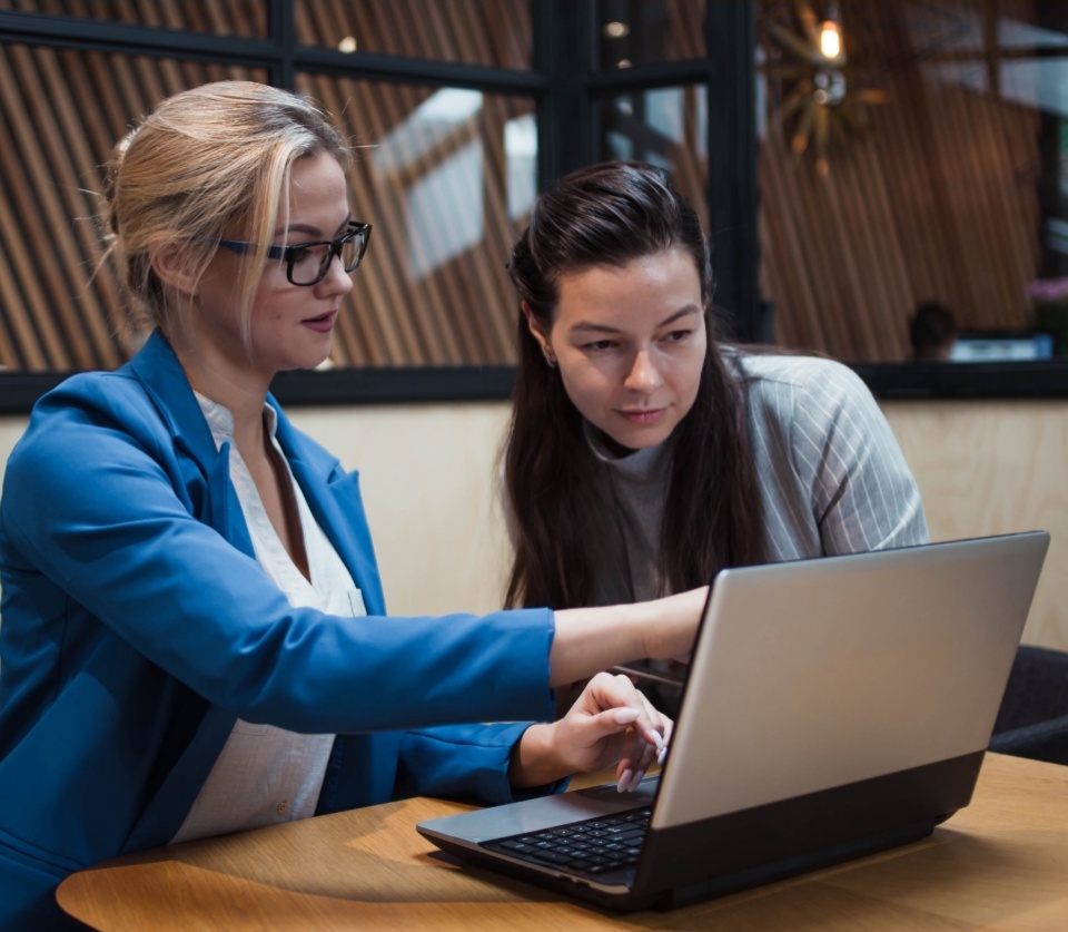 A Revamped Web Portal for Enhanced User Experience