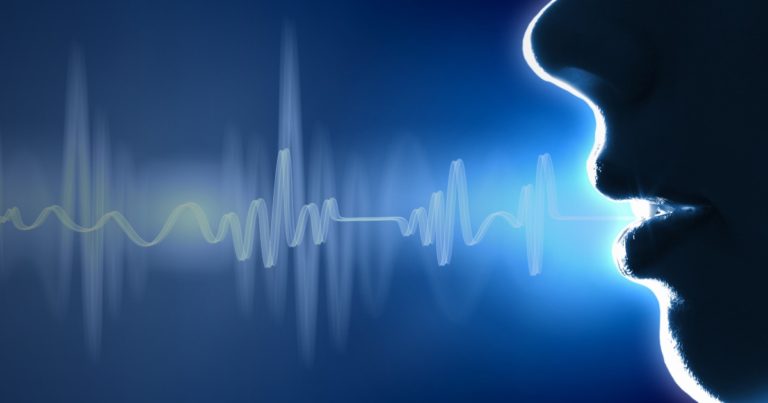 Voxta partners with FD